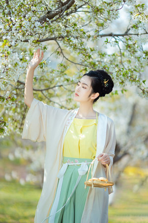 神墓在線觀看全集免費觀看動漫