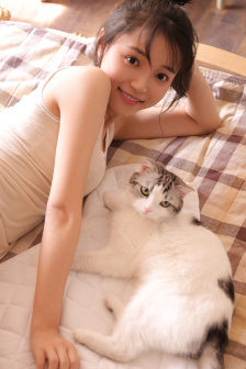 日本漫畫烏翼鳥大全火舞