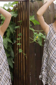 有沒有那么一首歌周華健