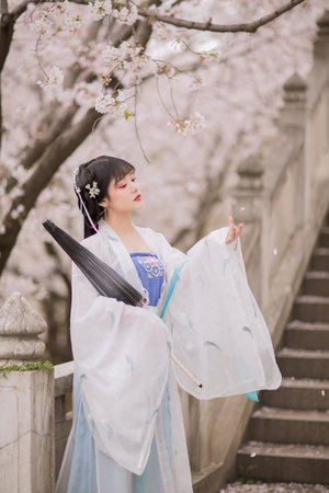 意大利泰山1995出版