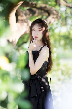 金花瓶楷梅花2楊貴妃