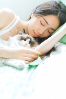 噼里啪啦免費觀看高清完整版