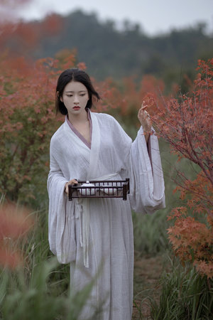 抓QQ彈彈的大歐派動漫版