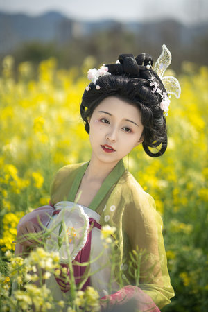 夫人!少將請您回家