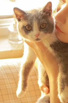 電路起火用什么滅火器最好