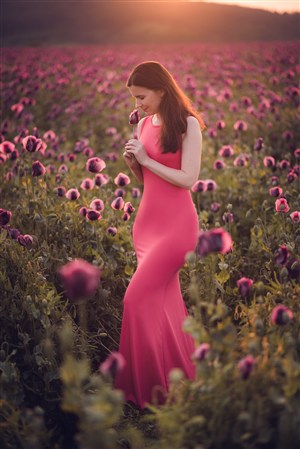 皇上被群臣扒開腿狂C