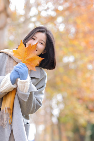 終將成為你動漫全集免費