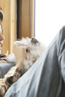 逃離德黑蘭國語高清