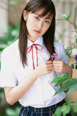 縫紉機樂隊 票房