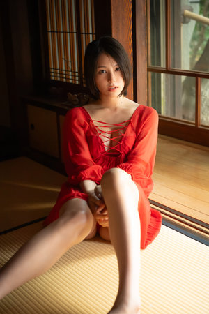 歐美一級專區免費大片