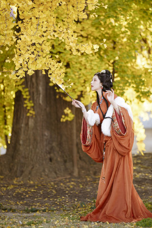 逐風飛翔電視劇全集免費觀看