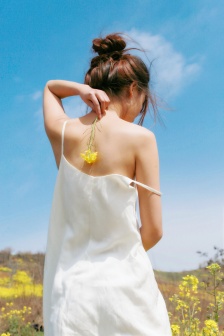 高加索犬與藏獒打架