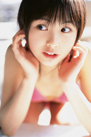 妖精森林的小不點