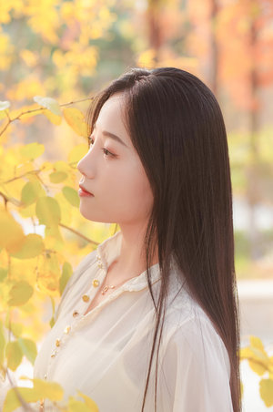 至尊紅顏范文芳版