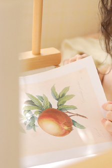 蘇蘇的汆肥肉小說叫什么