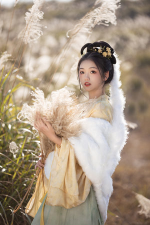 王羽小說免費閱讀