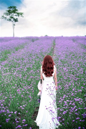 跛豪電影國語在線觀看 免費高清完整版