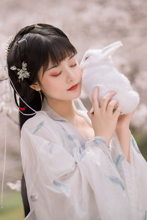 三年成全免費高清大全