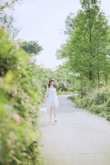 大客棧電視劇免費播放完整版