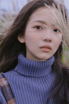 野花影視手機版在線觀看視頻