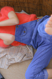 金花瓶楷梅花2觀看方法