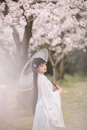 免費視頻WWW可觀看網站