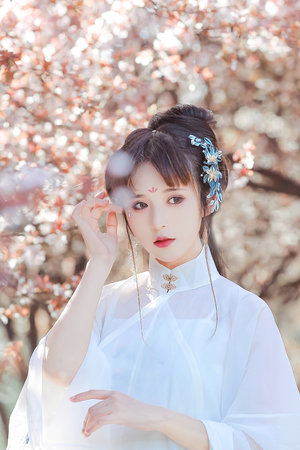 電影《男寵》在線觀看