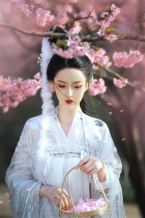 青春豬頭少年不會夢到兔女郎學姐