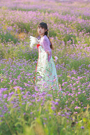 喬家的兒女電視劇全集免費播放