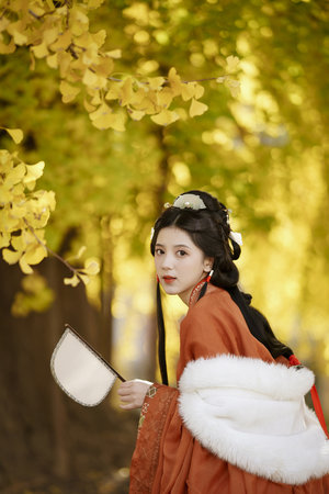 歡愉的藝術免費觀看完整版電視劇高清