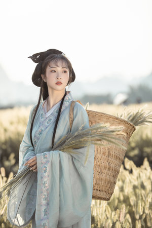 速度與激情1國語版