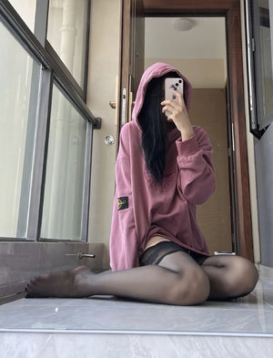 當時明月在雪鳳歌