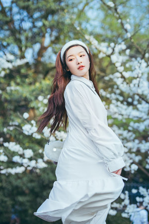 二哈的白貓師尊車