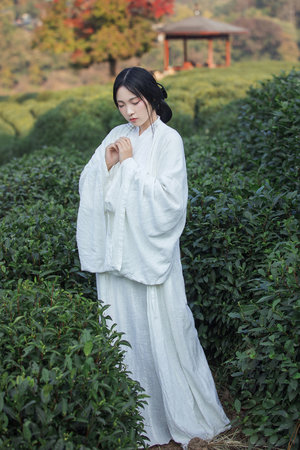 明天你是否依然愛我 童安格