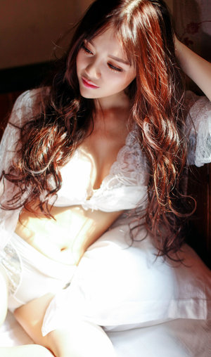 歐美人動物PPT免費模板大全